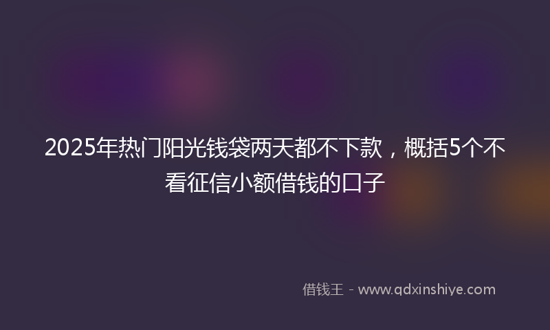 2025年热门阳光钱袋两天都不下款，概括5个不看征信小额借钱的口子