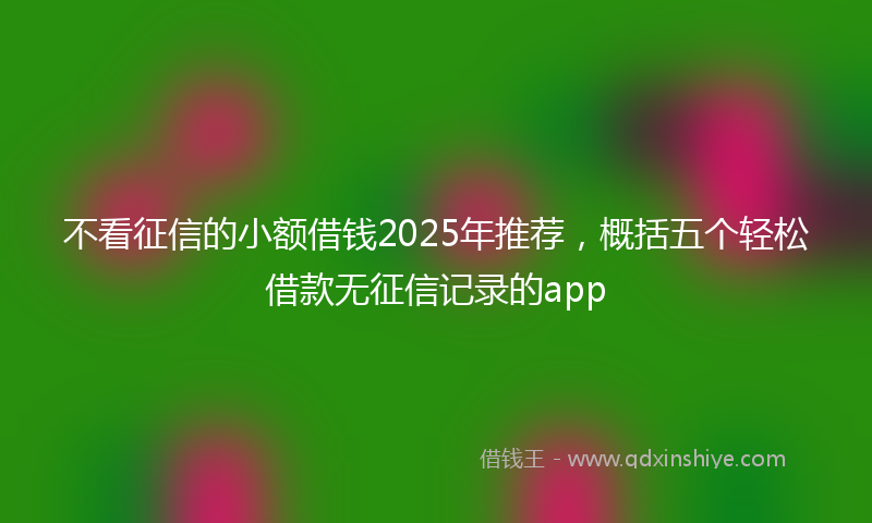 不看征信的小额借钱2025年推荐，概括五个轻松借款无征信记录的app