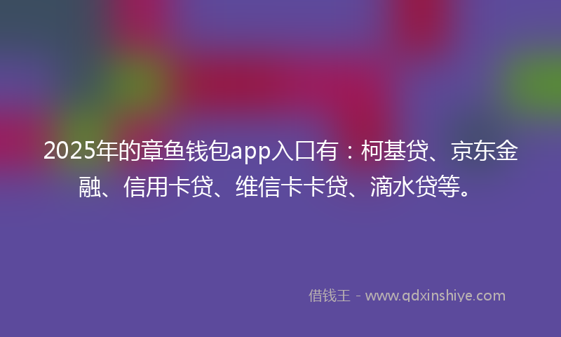 2025年的章鱼钱包app入口有：柯基贷、京东金融、信用卡贷、维信卡卡贷、滴水贷等。