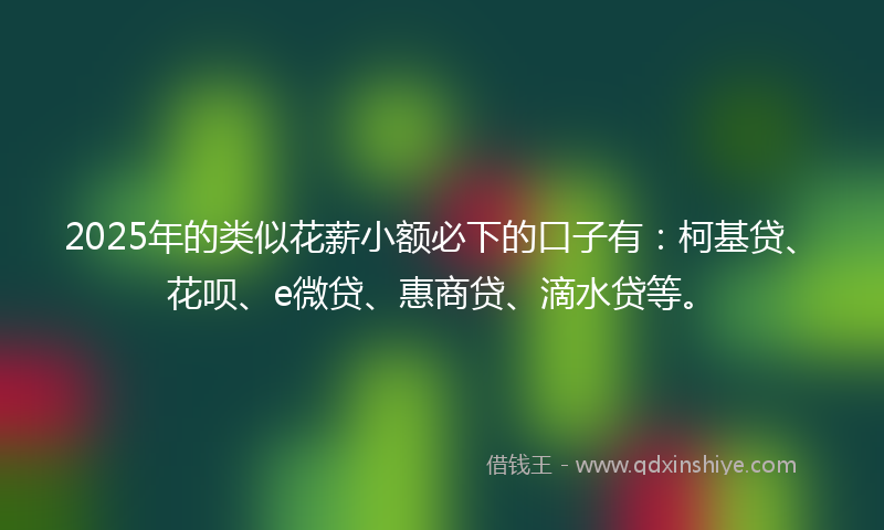 2025年的类似花薪小额必下的口子有：柯基贷、花呗、e微贷、惠商贷、滴水贷等。