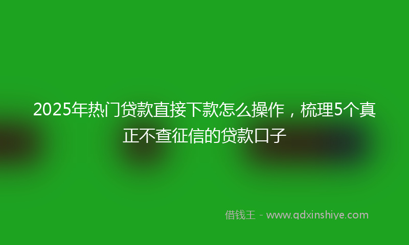 2025年热门贷款直接下款怎么操作，梳理5个真正不查征信的贷款口子
