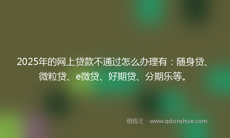 2025年的网上贷款不通过怎么办理有：随身贷、微粒贷、e微贷、好期贷、分期乐等。