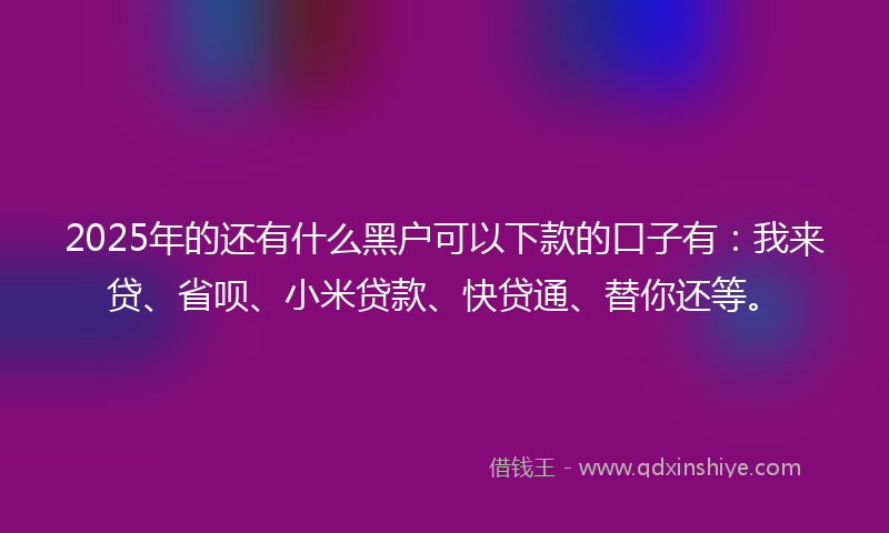 2025年的还有什么黑户可以下款的口子有：我来贷、省呗、小米贷款、快贷通、替你还等。