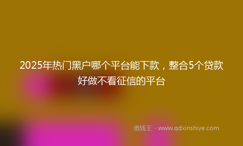 2025年热门黑户哪个平台能下款，整合5个贷款好做不看征信的平台