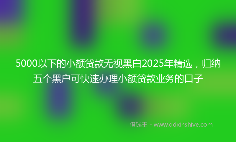 5000以下的小额贷款无视黑白2025年精选，归纳五个黑户可快速办理小额贷款业务的口子