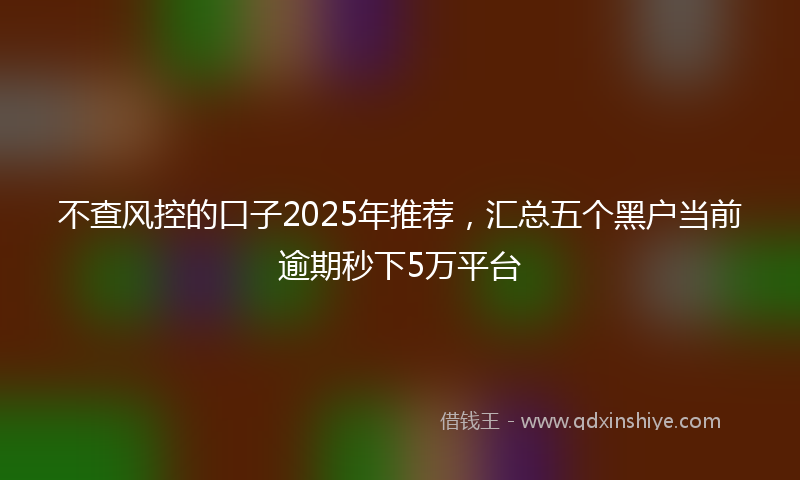 不查风控的口子2025年推荐，汇总五个黑户当前逾期秒下5万平台