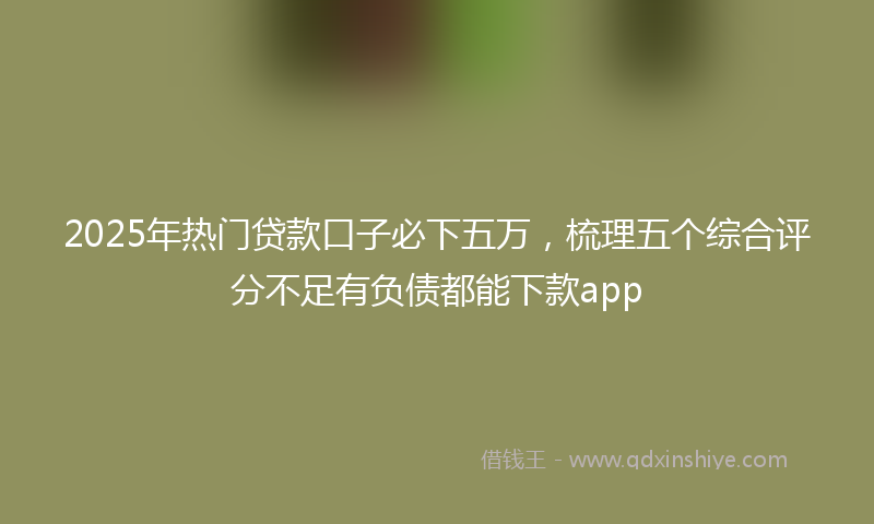 2025年热门贷款口子必下五万，梳理五个综合评分不足有负债都能下款app