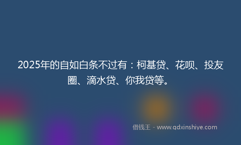 2025年的自如白条不过有：柯基贷、花呗、投友圈、滴水贷、你我贷等。