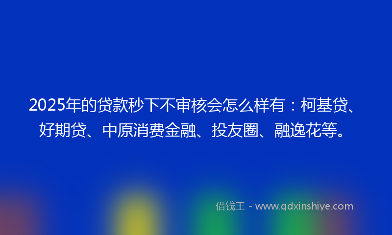 2025年的贷款秒下不审核会怎么样有：柯基贷、好期贷、中原消费金融、投友圈、融逸花等。