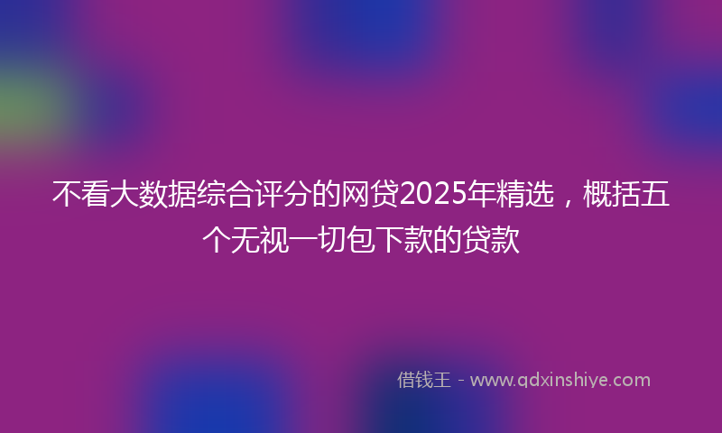 不看大数据综合评分的网贷2025年精选，概括五个无视一切包下款的贷款