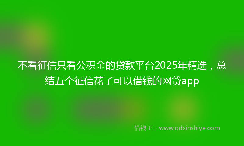 不看征信只看公积金的贷款平台2025年精选，总结五个征信花了可以借钱的网贷app