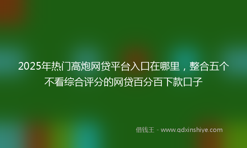 2025年热门高炮网贷平台入口在哪里，整合五个不看综合评分的网贷百分百下款口子