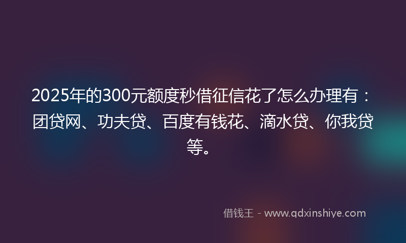2025年的300元额度秒借征信花了怎么办理有：团贷网、功夫贷、百度有钱花、滴水贷、你我贷等。