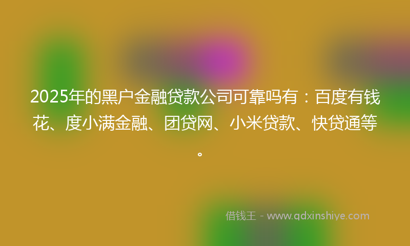 2025年的黑户金融贷款公司可靠吗有：百度有钱花、度小满金融、团贷网、小米贷款、快贷通等。
