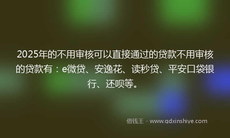 2025年的不用审核可以直接通过的贷款不用审核的贷款有：e微贷、安逸花、读秒贷、平安口袋银行、还呗等。
