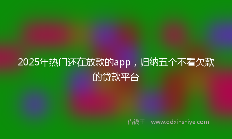2025年热门还在放款的app,归纳五个不看欠款的贷款平台