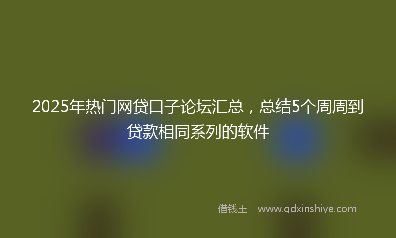 2025年热门网贷口子论坛汇总，总结5个周周到贷款相同系列的软件