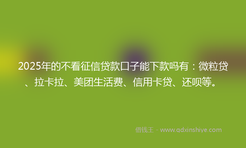 2025年的不看征信贷款口子能下款吗有：微粒贷、拉卡拉、美团生活费、信用卡贷、还呗等。