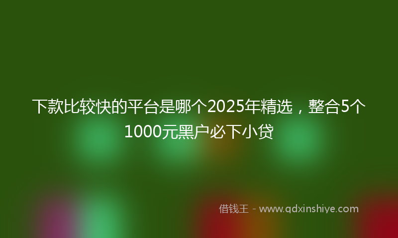 下款比较快的平台是哪个2025年精选，整合5个1000元黑户必下小贷