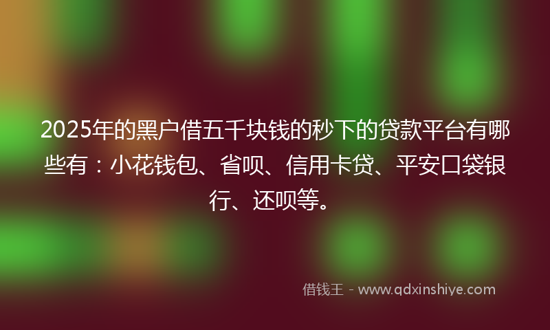 2025年的黑户借五千块钱的秒下的贷款平台有哪些有：小花钱包、省呗、信用卡贷、平安口袋银行、还呗等。