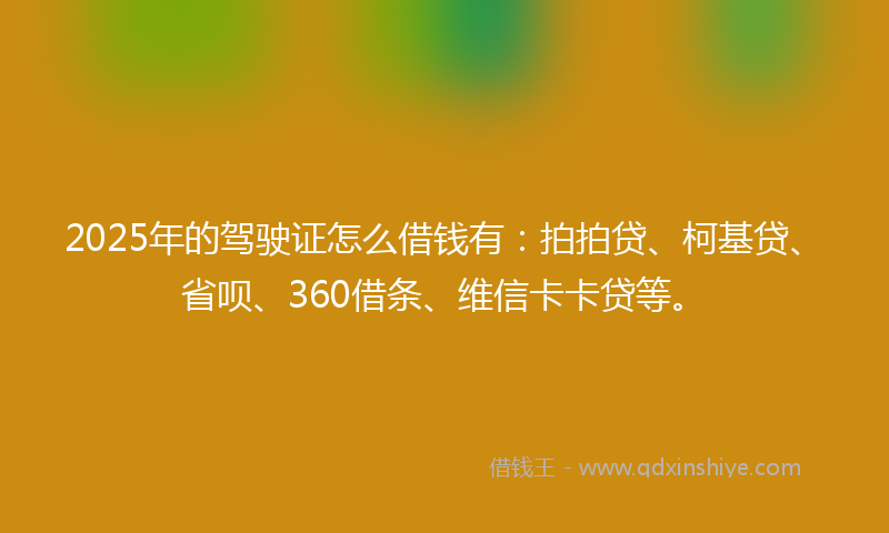2025年的驾驶证怎么借钱有：拍拍贷、柯基贷、省呗、360借条、维信卡卡贷等。