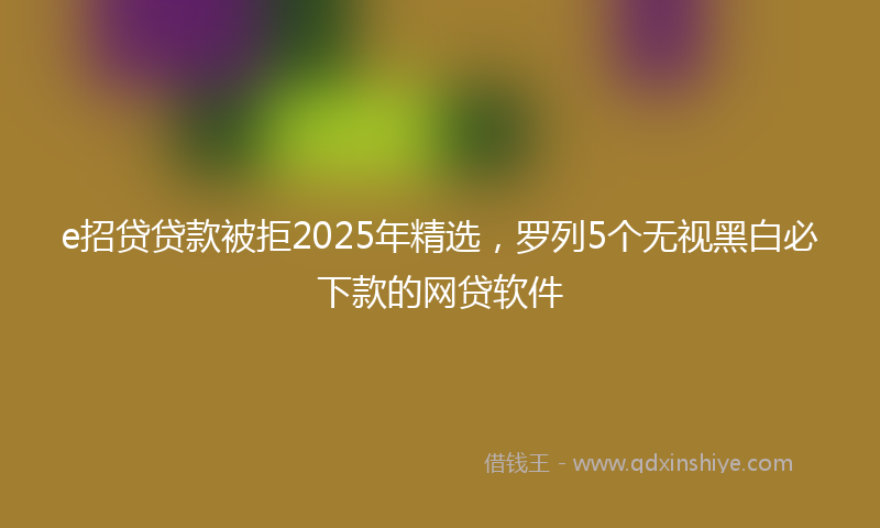 e招贷贷款被拒2025年精选，罗列5个无视黑白必下款的网贷软件