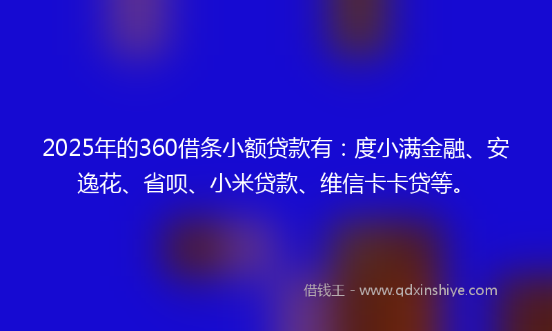 2025年的360借条小额贷款有：度小满金融、安逸花、省呗、小米贷款、维信卡卡贷等。