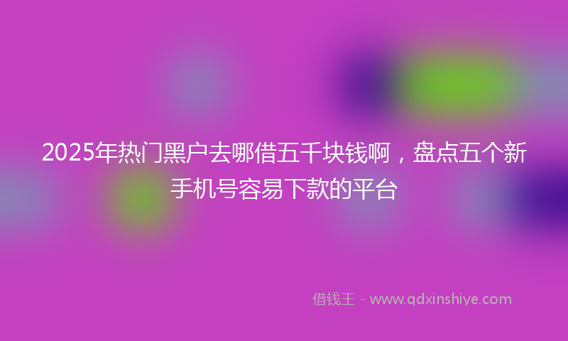 2025年热门黑户去哪借五千块钱啊，盘点五个新手机号容易下款的平台