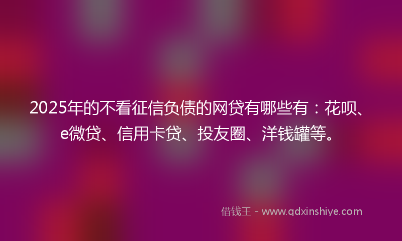 2025年的不看征信负债的网贷有哪些有：花呗、e微贷、信用卡贷、投友圈、洋钱罐等。