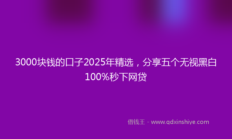 3000块钱的口子2025年精选，分享五个无视黑白100%秒下网贷