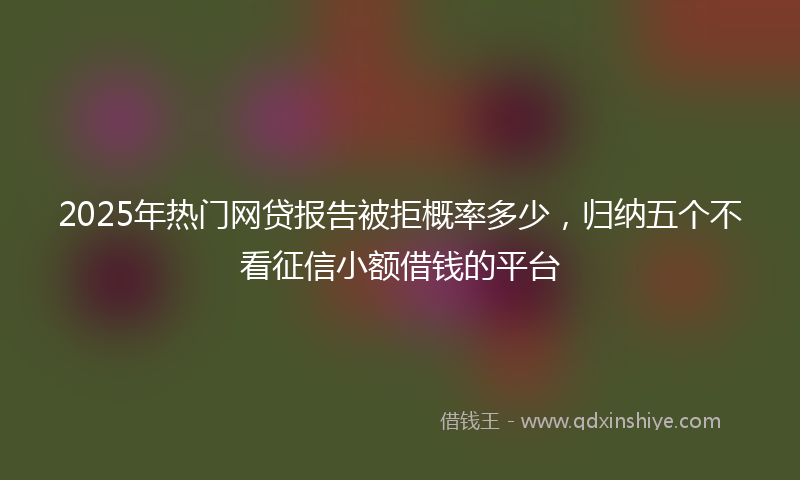 2025年热门网贷报告被拒概率多少，归纳五个不看征信小额借钱的平台