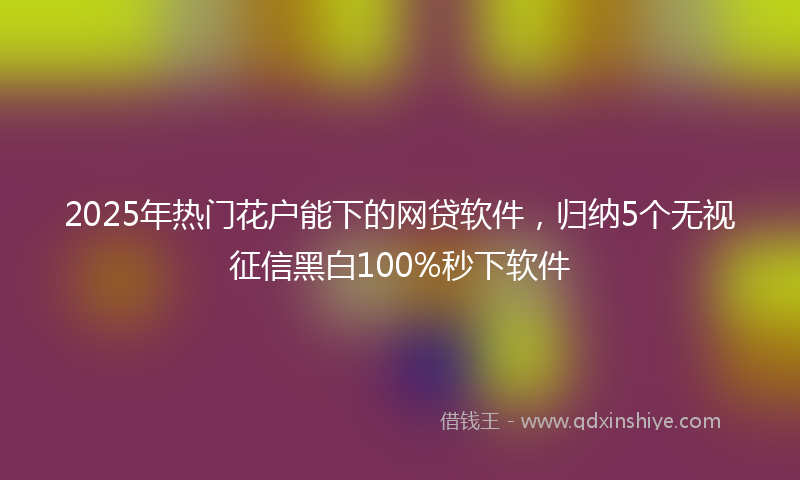 2025年热门花户能下的网贷软件，归纳5个无视征信黑白100%秒下软件