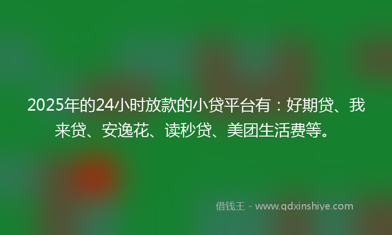 2025年的24小时放款的小贷平台有：好期贷、我来贷、安逸花、读秒贷、美团生活费等。