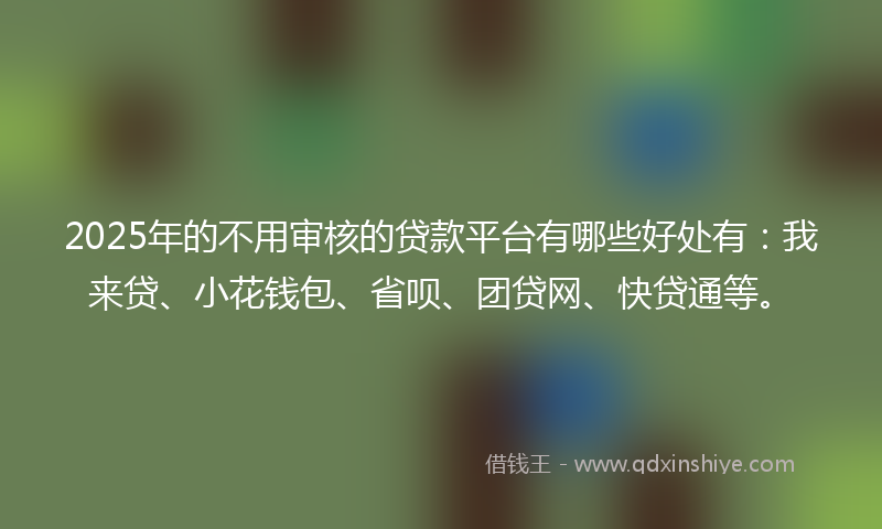2025年的不用审核的贷款平台有哪些好处有：我来贷、小花钱包、省呗、团贷网、快贷通等。
