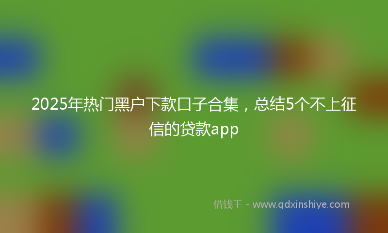 2025年热门黑户下款口子合集，总结5个不上征信的贷款app