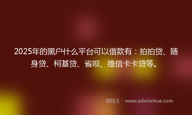2025年的黑户什么平台可以借款有:拍拍贷、随身贷、柯基贷、省呗、维信卡卡贷等。