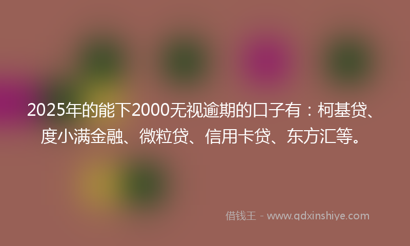 2025年的能下2000无视逾期的口子有：柯基贷、度小满金融、微粒贷、信用卡贷、东方汇等。
