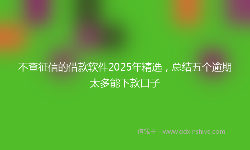 不查征信的借款软件2025年精选，总结五个逾期太多能下款口子