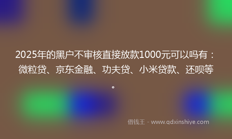 2025年的黑户不审核直接放款1000元可以吗有：微粒贷、京东金融、功夫贷、小米贷款、还呗等。