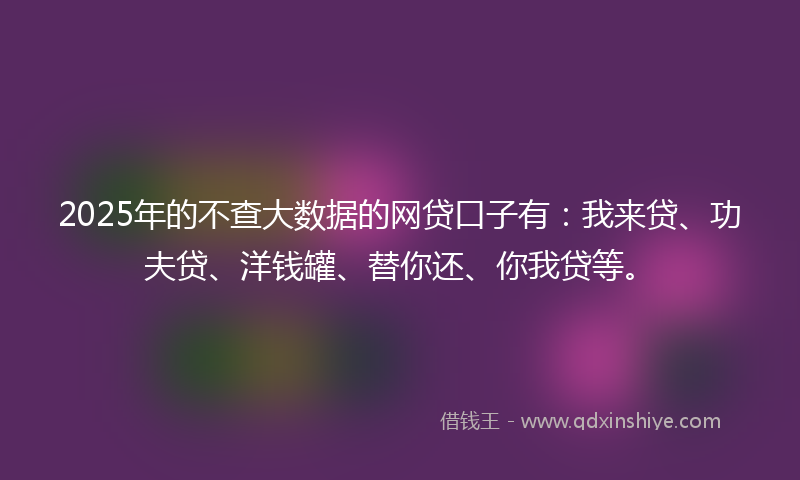 2025年的不查大数据的网贷口子有：我来贷、功夫贷、洋钱罐、替你还、你我贷等。