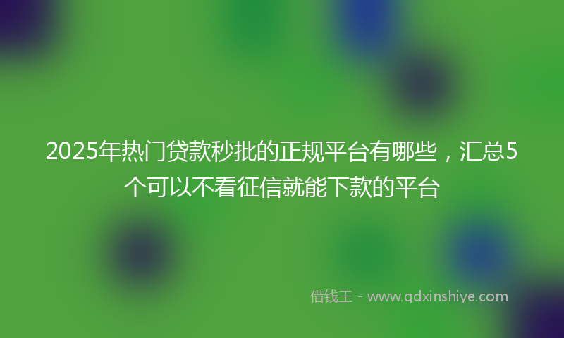2025年热门贷款秒批的正规平台有哪些，汇总5个可以不看征信就能下款的平台