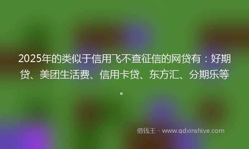 2025年的类似于信用飞不查征信的网贷有：好期贷、美团生活费、信用卡贷、东方汇、分期乐等。