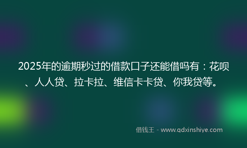 2025年的逾期秒过的借款口子还能借吗有：花呗、人人贷、拉卡拉、维信卡卡贷、你我贷等。