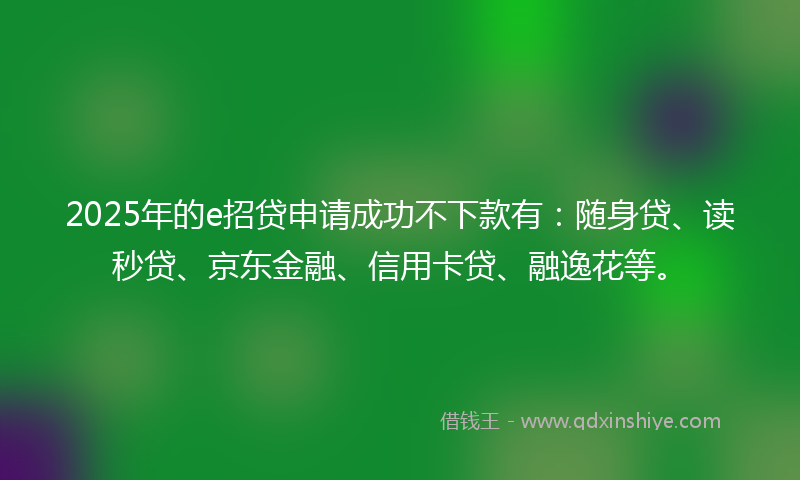2025年的e招贷申请成功不下款有：随身贷、读秒贷、京东金融、信用卡贷、融逸花等。