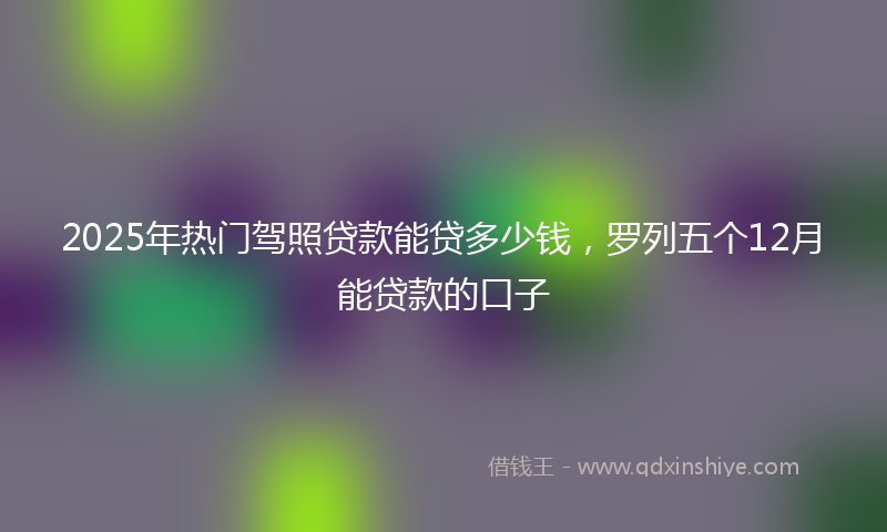 2025年热门驾照贷款能贷多少钱，罗列五个12月能贷款的口子