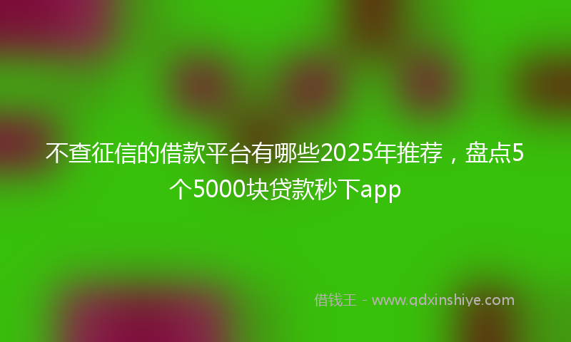 不查征信的借款平台有哪些2025年推荐，盘点5个5000块贷款秒下app