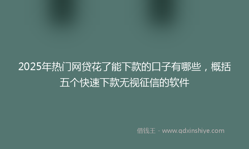 2025年热门网贷花了能下款的口子有哪些，概括五个快速下款无视征信的软件