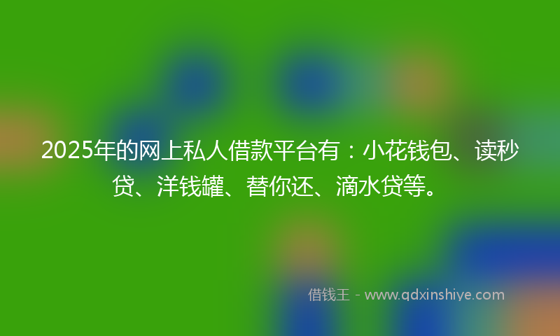 2025年的网上私人借款平台有：小花钱包、读秒贷、洋钱罐、替你还、滴水贷等。