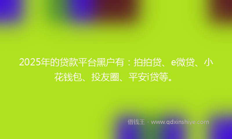 2025年的贷款平台黑户有：拍拍贷、e微贷、小花钱包、投友圈、平安i贷等。