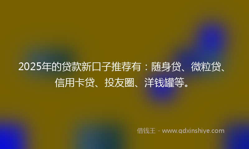 2025年的贷款新口子推荐有：随身贷、微粒贷、信用卡贷、投友圈、洋钱罐等。